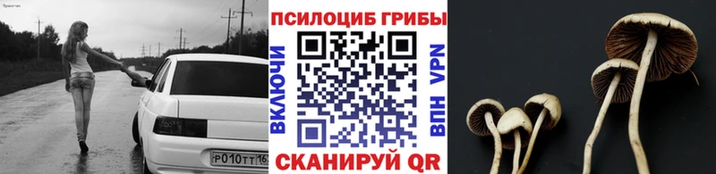 Галлюциногенные грибы прущие грибы Уссурийск